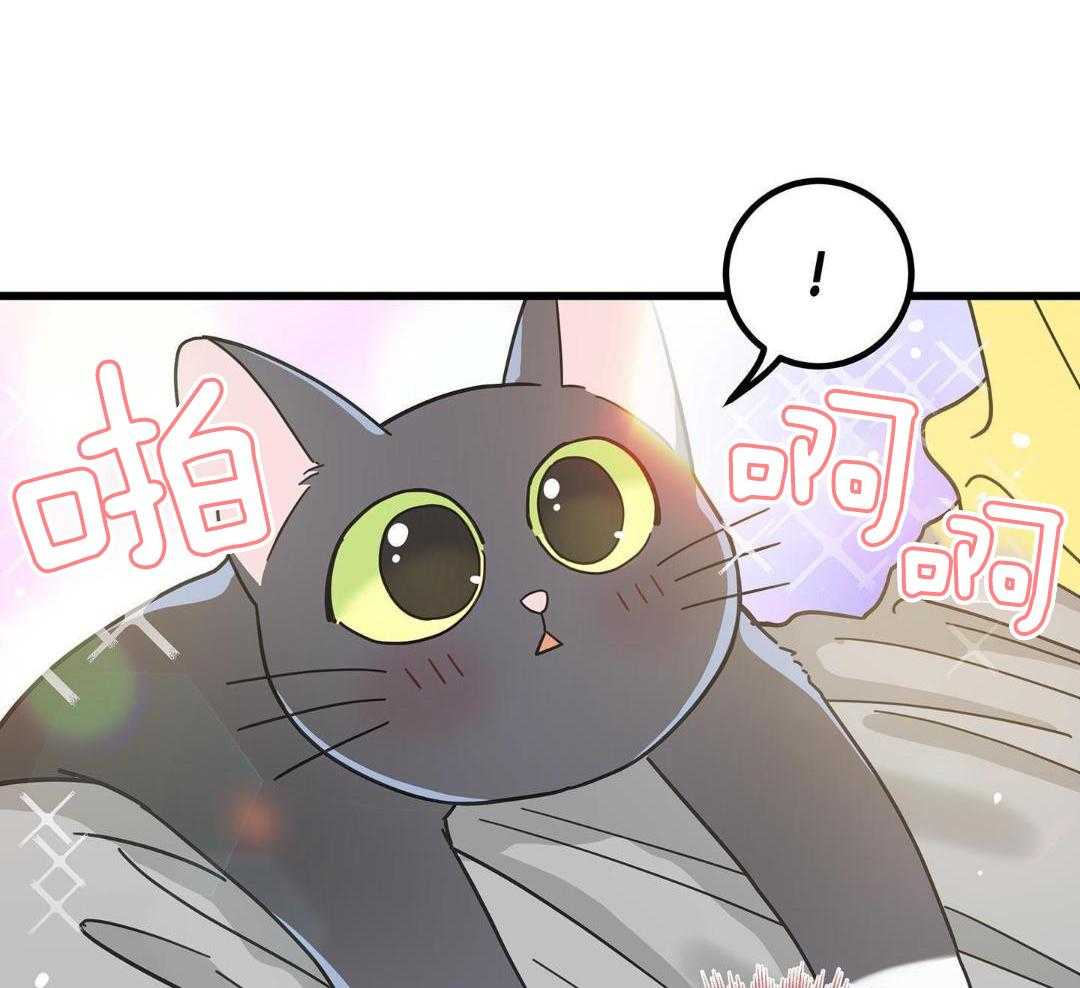 《我唯一的猫猫》漫画最新章节第45话免费下拉式在线观看章节第【31】张图片