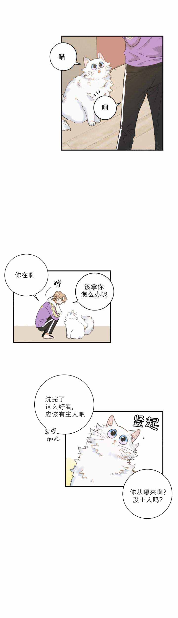 《我唯一的猫猫》漫画最新章节第6话免费下拉式在线观看章节第【9】张图片