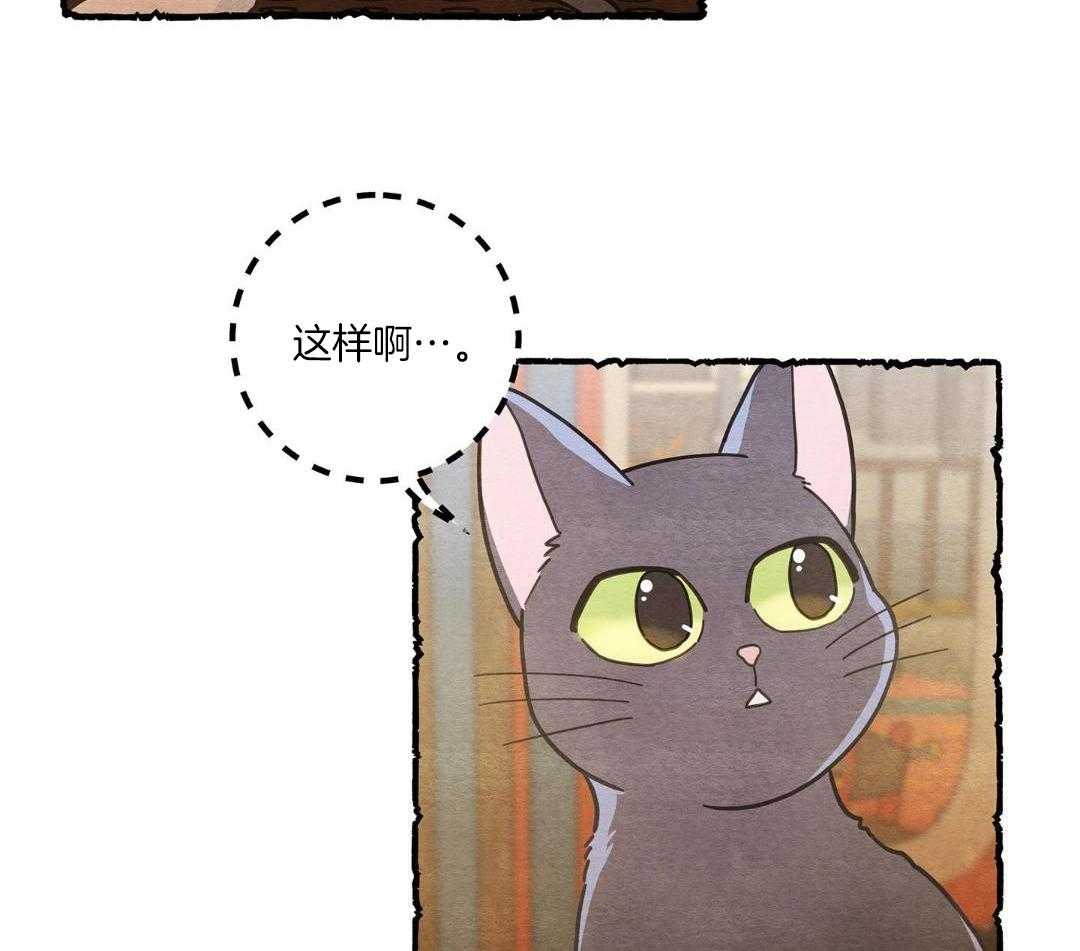 《我唯一的猫猫》漫画最新章节第41话免费下拉式在线观看章节第【18】张图片