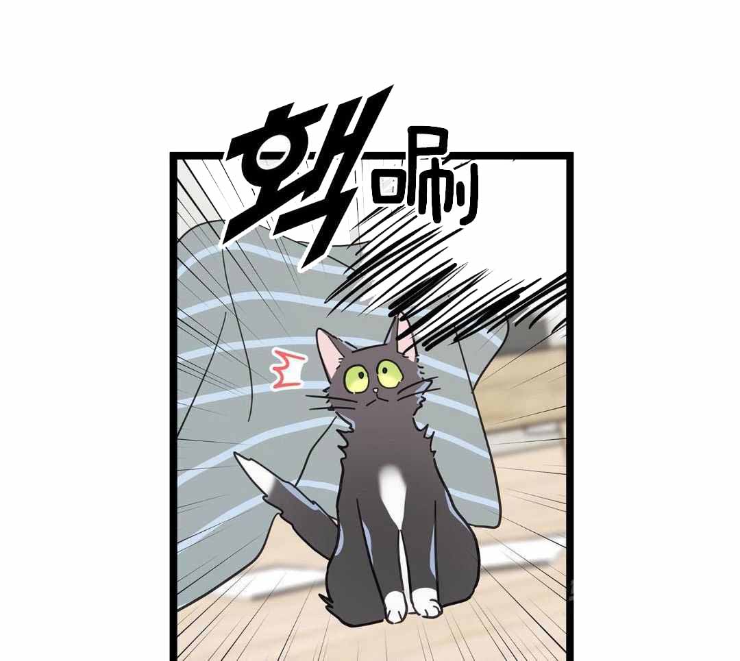 《我唯一的猫猫》漫画最新章节第45话免费下拉式在线观看章节第【12】张图片