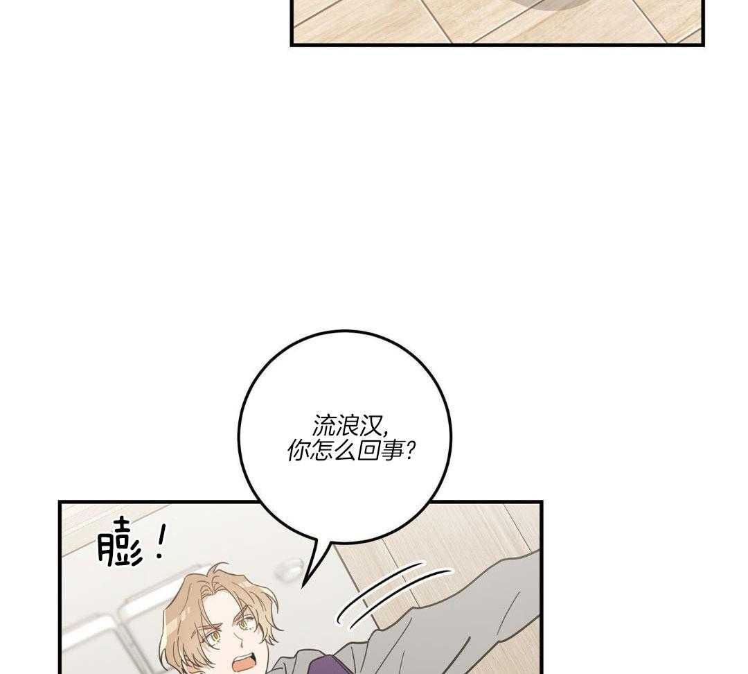 《我唯一的猫猫》漫画最新章节第47话免费下拉式在线观看章节第【68】张图片