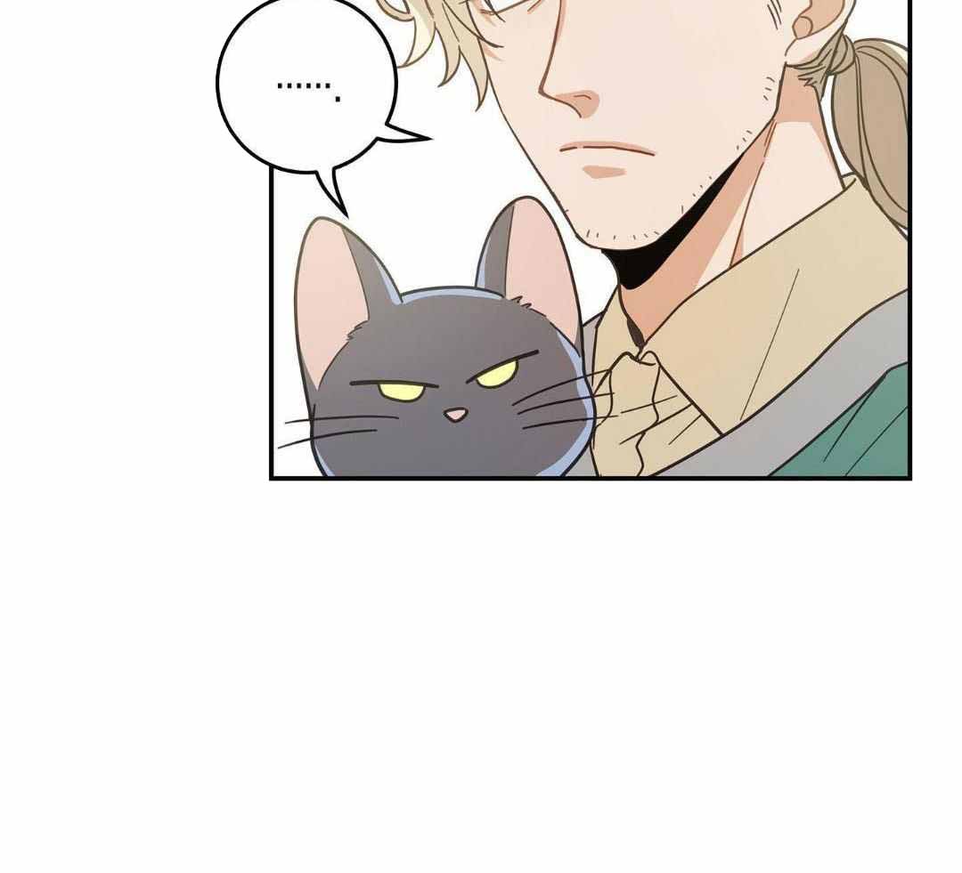 《我唯一的猫猫》漫画最新章节第50话免费下拉式在线观看章节第【18】张图片