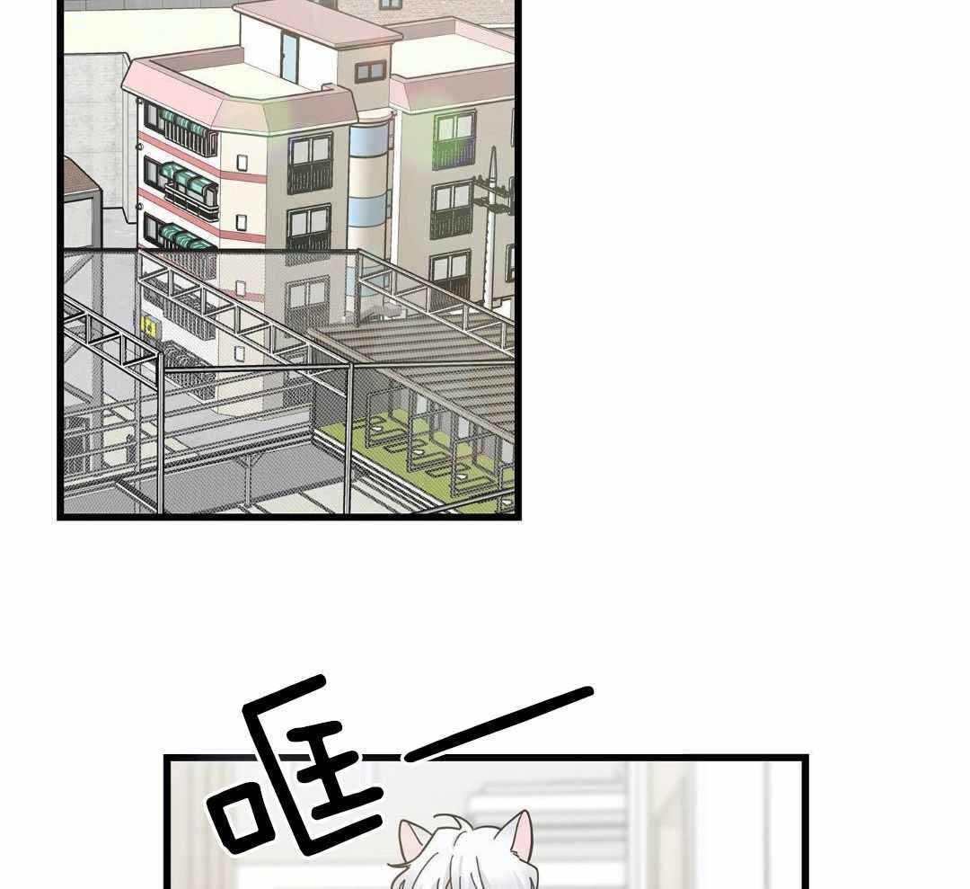 《我唯一的猫猫》漫画最新章节第46话免费下拉式在线观看章节第【2】张图片