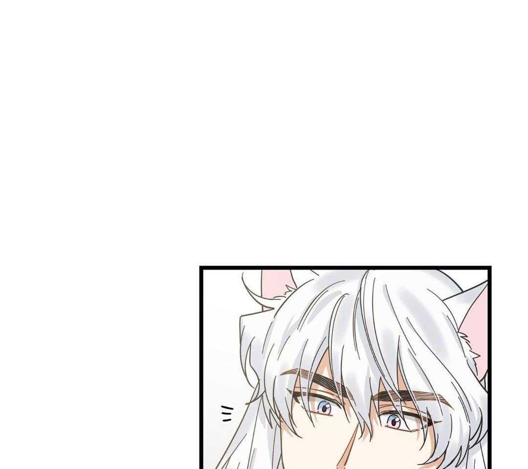 《我唯一的猫猫》漫画最新章节第36话免费下拉式在线观看章节第【7】张图片