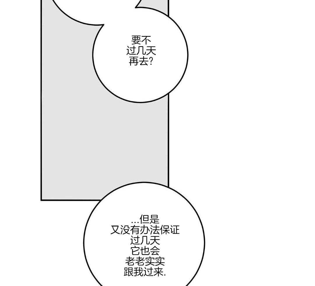 《我唯一的猫猫》漫画最新章节第50话免费下拉式在线观看章节第【36】张图片