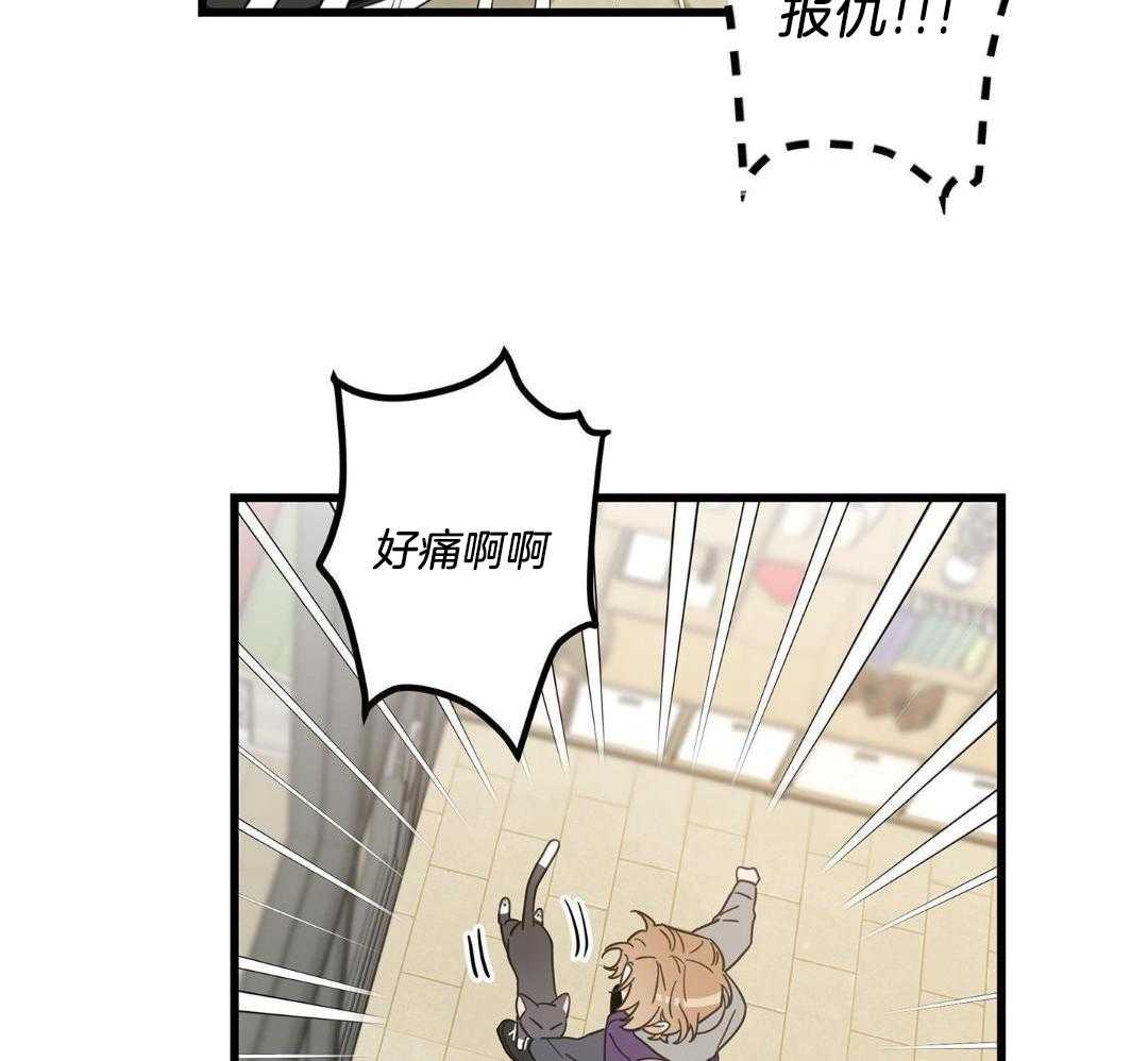 《我唯一的猫猫》漫画最新章节第47话免费下拉式在线观看章节第【8】张图片