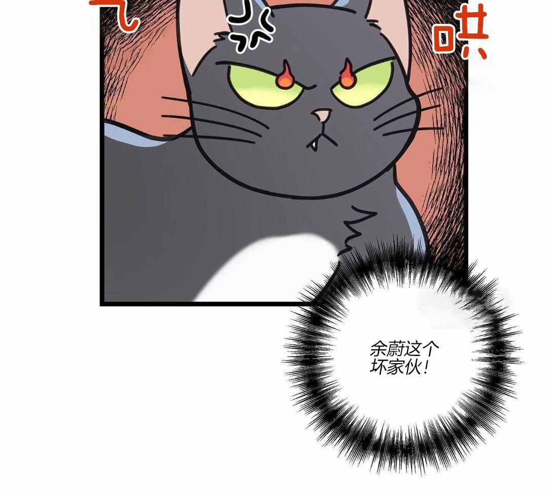 《我唯一的猫猫》漫画最新章节第53话免费下拉式在线观看章节第【40】张图片