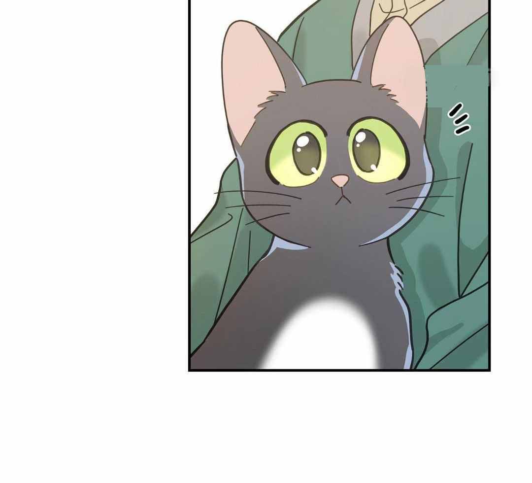 《我唯一的猫猫》漫画最新章节第50话免费下拉式在线观看章节第【24】张图片