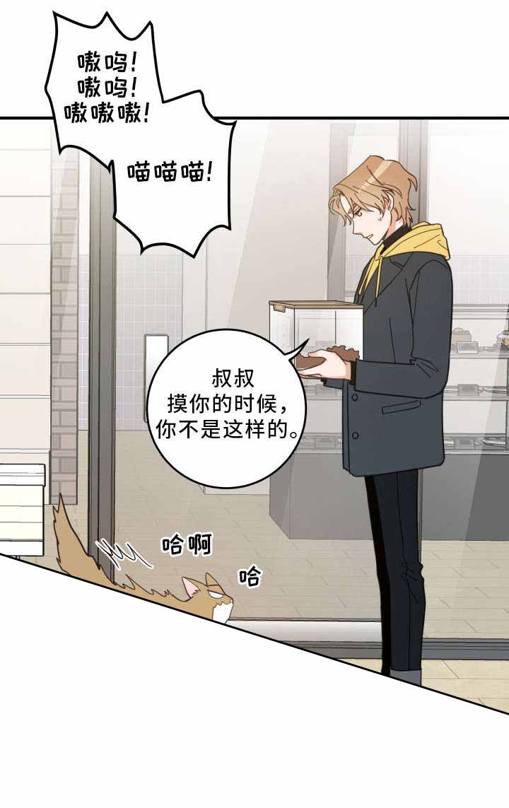 《我唯一的猫猫》漫画最新章节第24话免费下拉式在线观看章节第【11】张图片