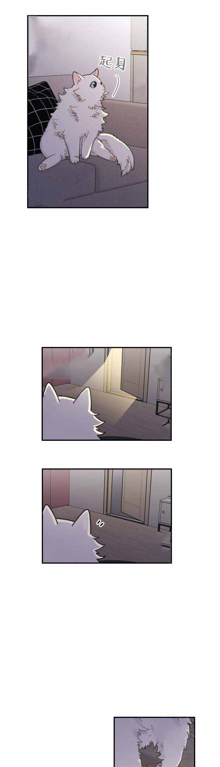 《我唯一的猫猫》漫画最新章节第4话免费下拉式在线观看章节第【9】张图片