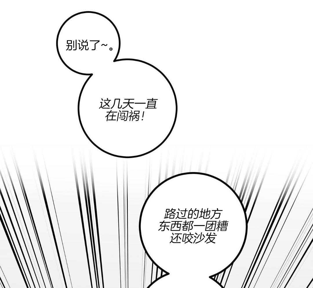 《我唯一的猫猫》漫画最新章节第46话免费下拉式在线观看章节第【35】张图片