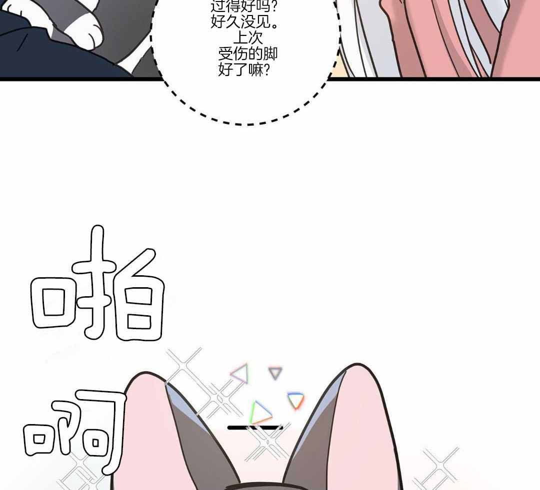 《我唯一的猫猫》漫画最新章节第39话免费下拉式在线观看章节第【36】张图片