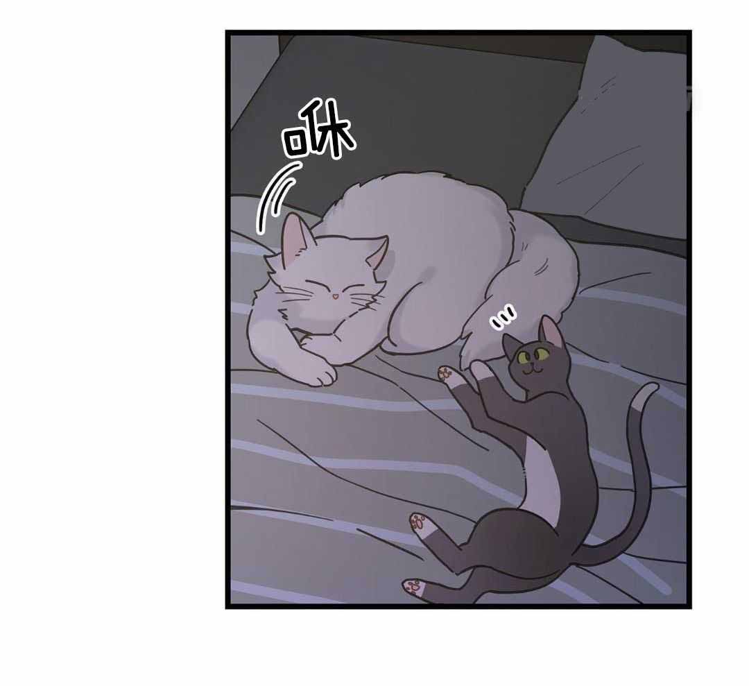 《我唯一的猫猫》漫画最新章节第42话免费下拉式在线观看章节第【9】张图片