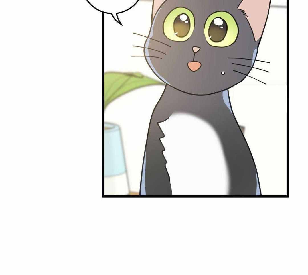 《我唯一的猫猫》漫画最新章节第58话免费下拉式在线观看章节第【33】张图片