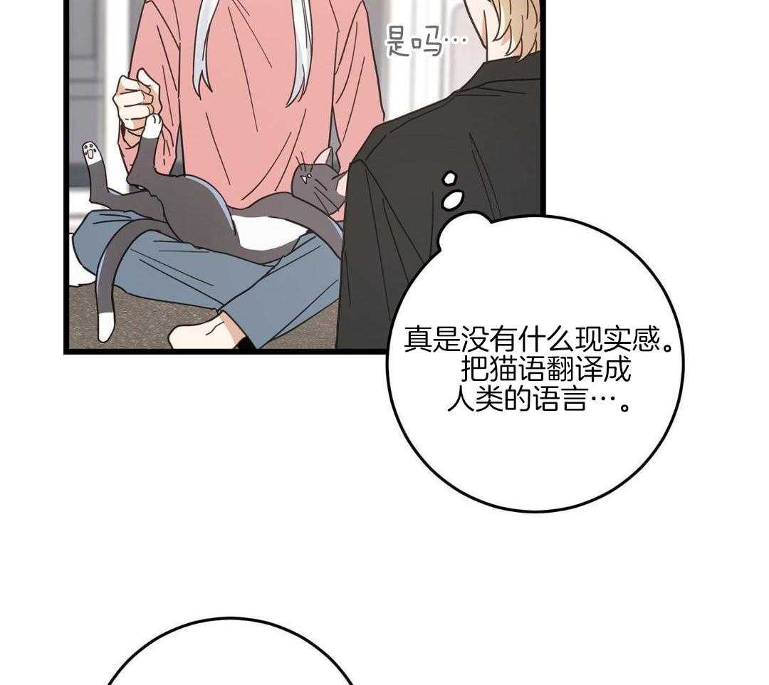 《我唯一的猫猫》漫画最新章节第40话免费下拉式在线观看章节第【8】张图片