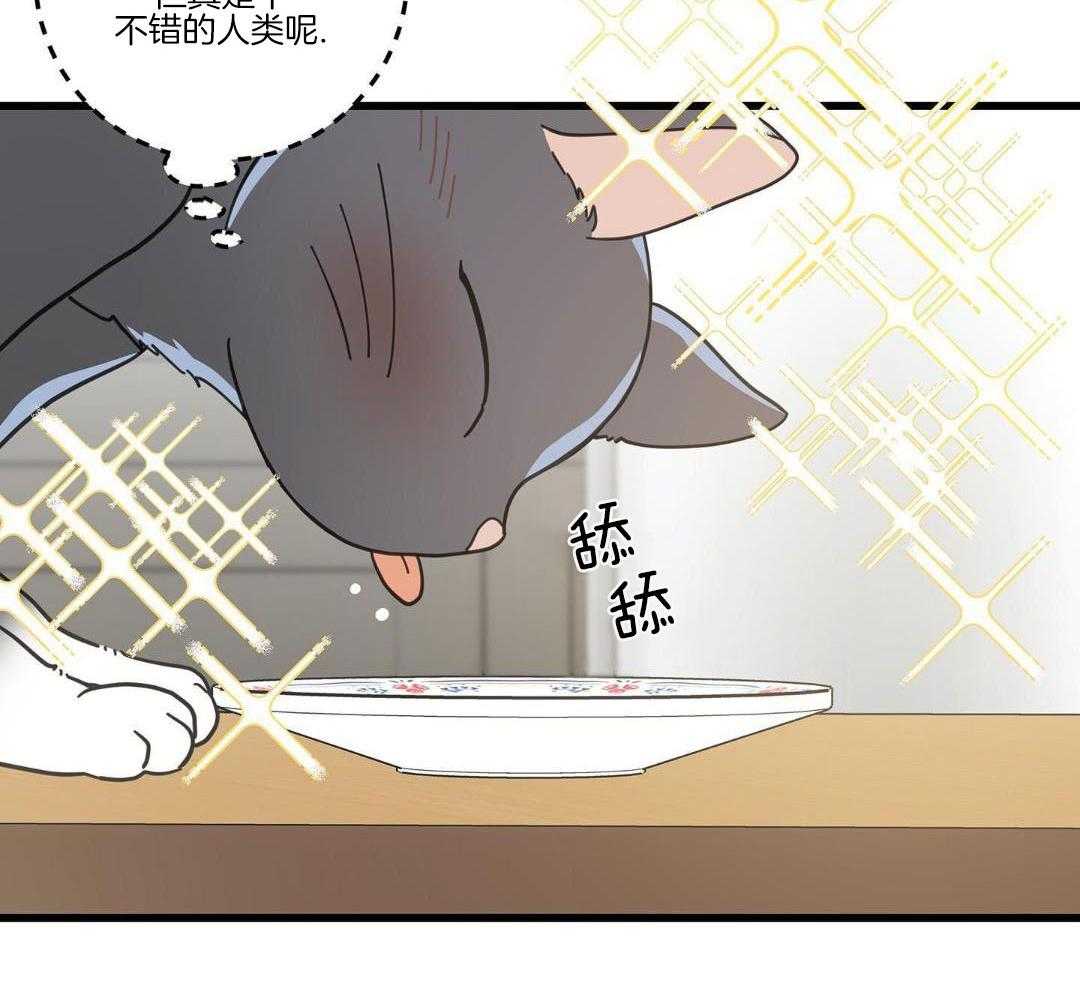 《我唯一的猫猫》漫画最新章节第58话免费下拉式在线观看章节第【20】张图片
