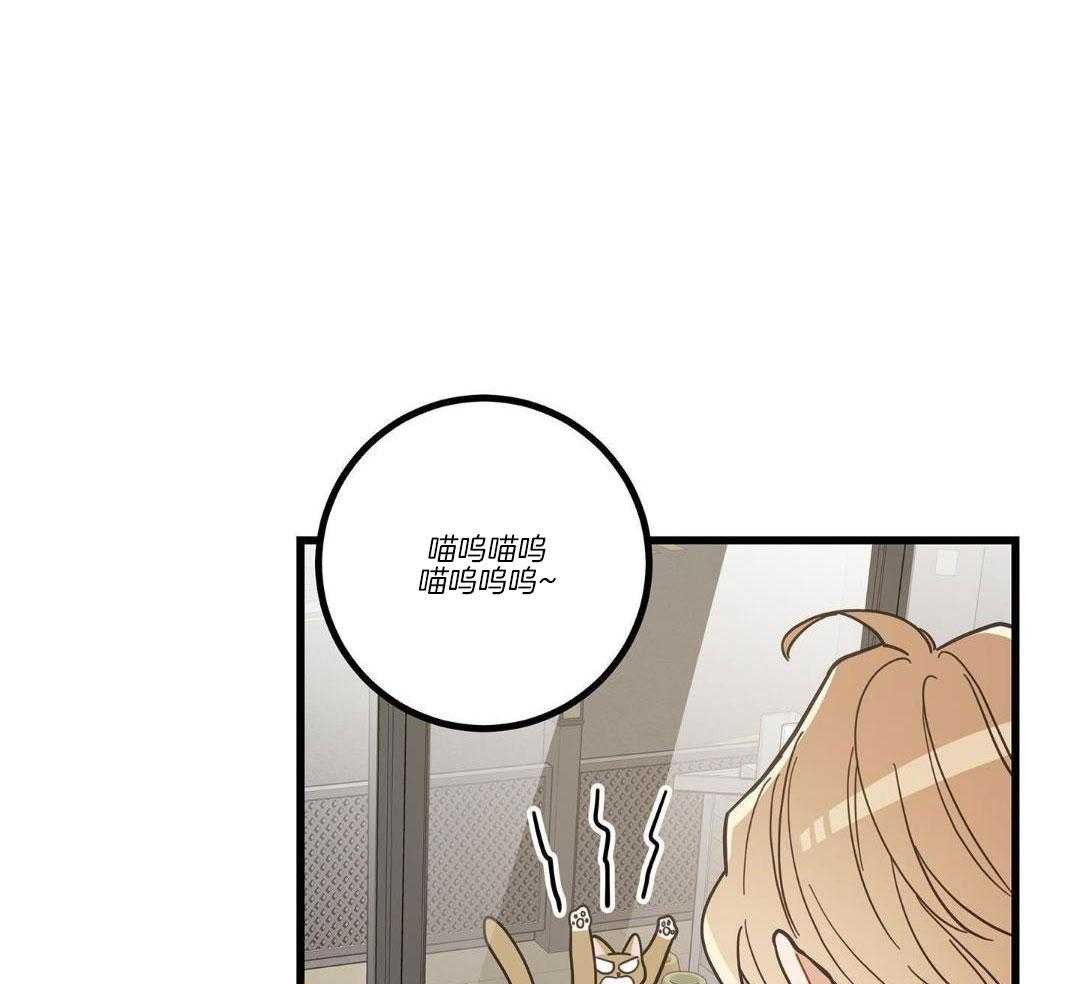 《我唯一的猫猫》漫画最新章节第34话免费下拉式在线观看章节第【4】张图片