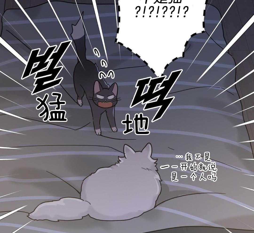 《我唯一的猫猫》漫画最新章节第42话免费下拉式在线观看章节第【18】张图片