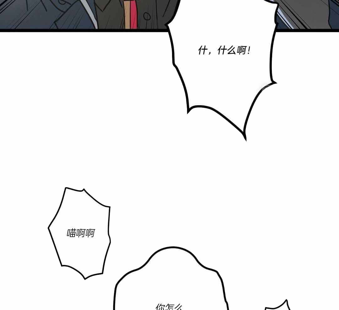 《我唯一的猫猫》漫画最新章节第39话免费下拉式在线观看章节第【13】张图片