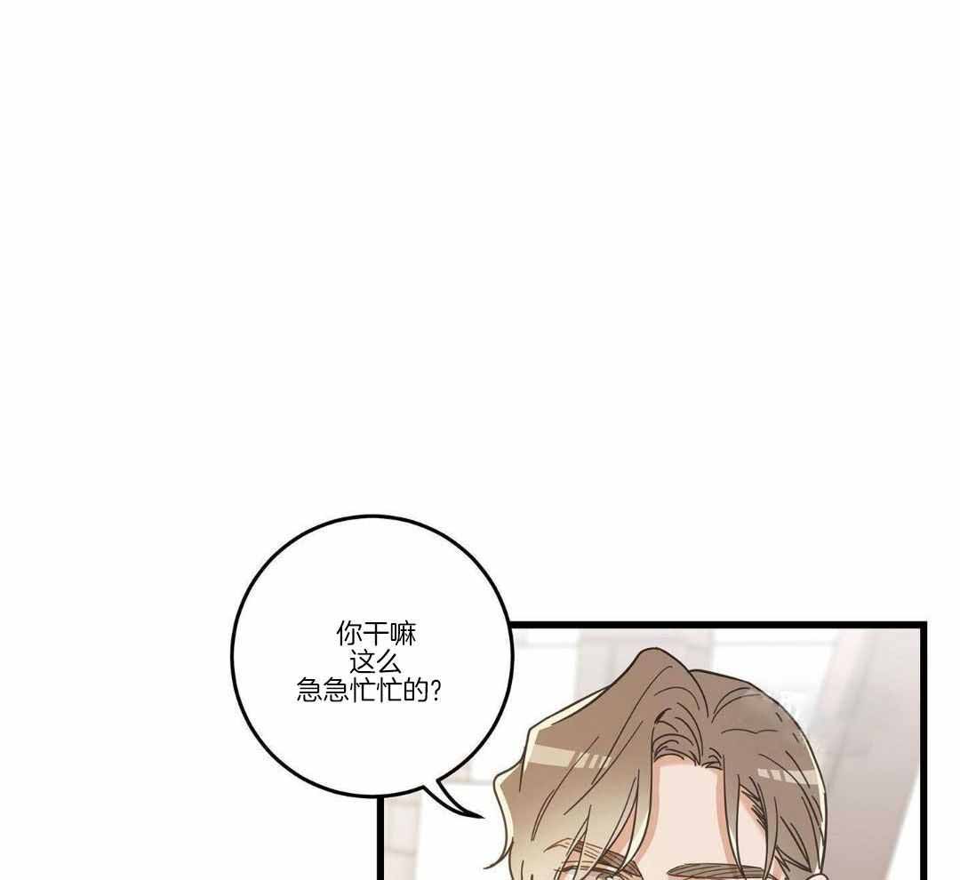 《我唯一的猫猫》漫画最新章节第34话免费下拉式在线观看章节第【34】张图片