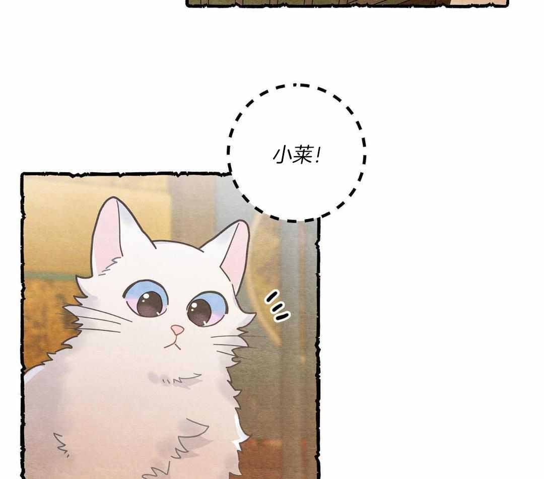 《我唯一的猫猫》漫画最新章节第41话免费下拉式在线观看章节第【13】张图片