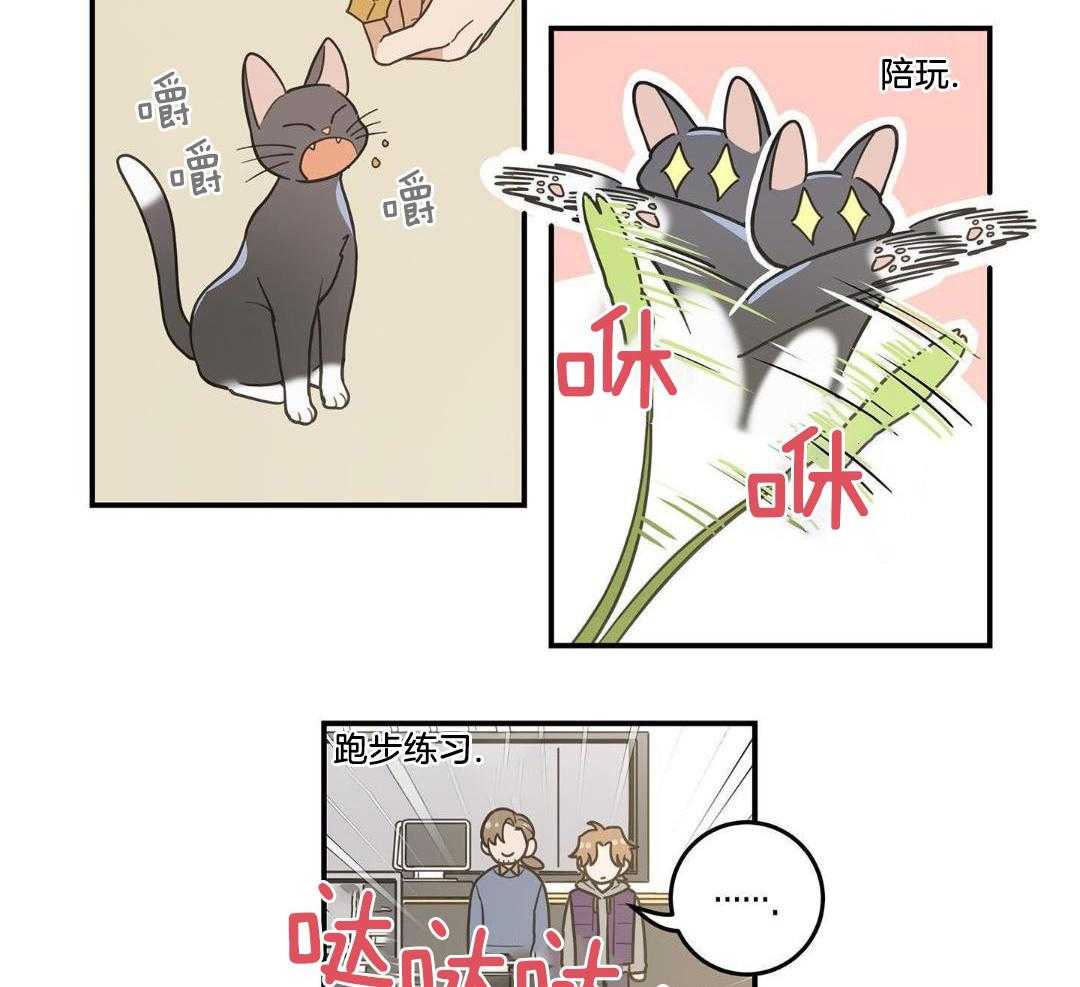 《我唯一的猫猫》漫画最新章节第47话免费下拉式在线观看章节第【30】张图片