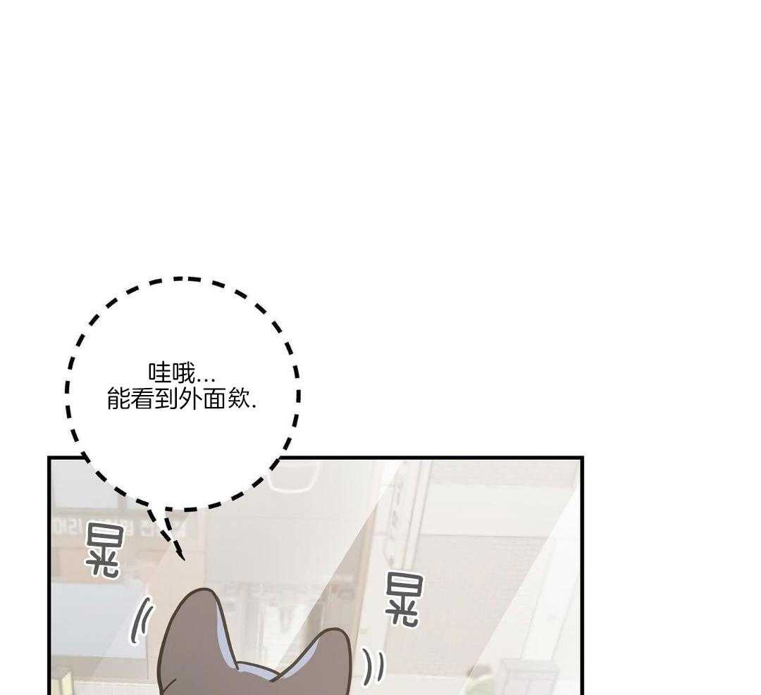 《我唯一的猫猫》漫画最新章节第47话免费下拉式在线观看章节第【47】张图片