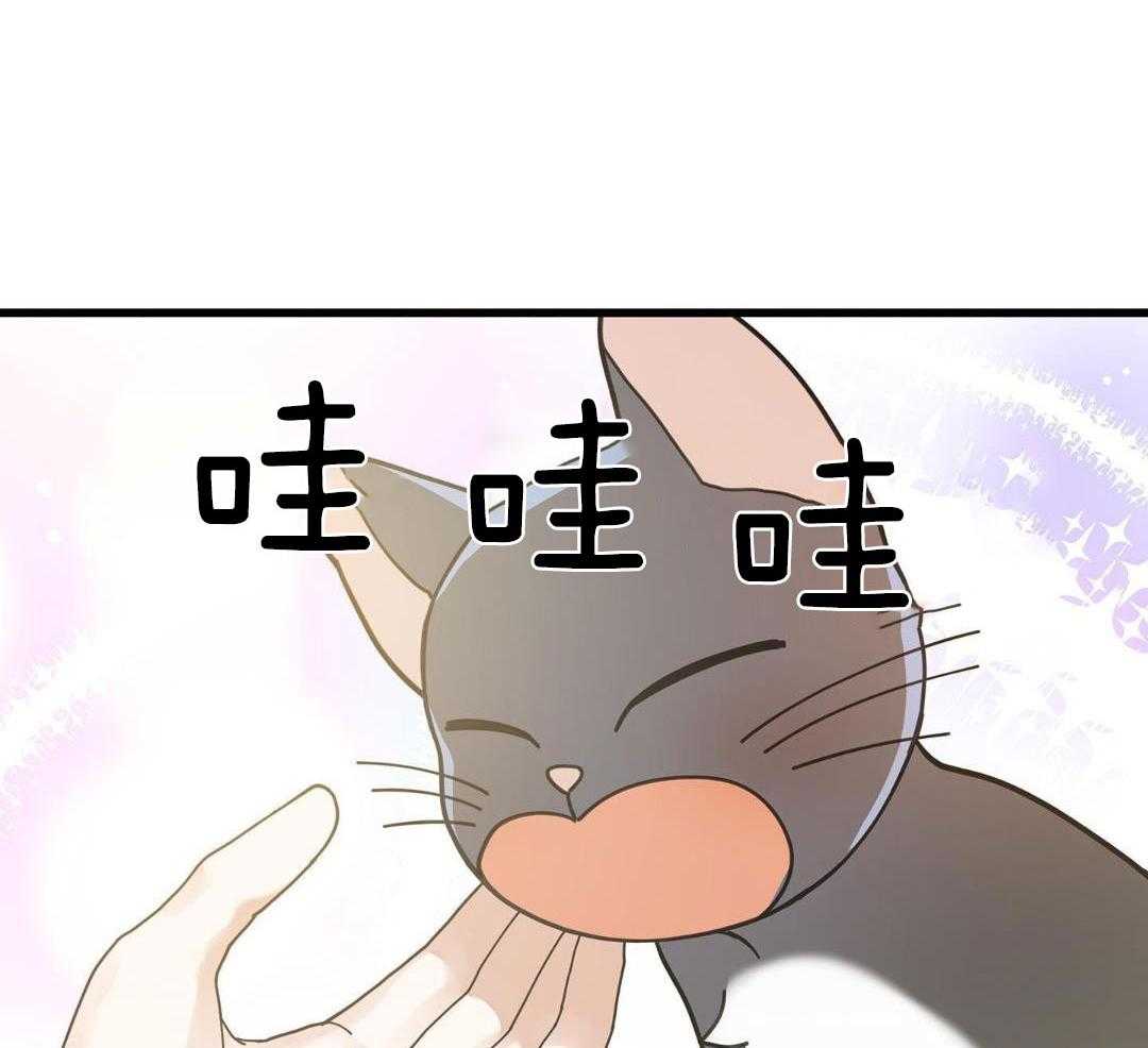 《我唯一的猫猫》漫画最新章节第57话免费下拉式在线观看章节第【34】张图片