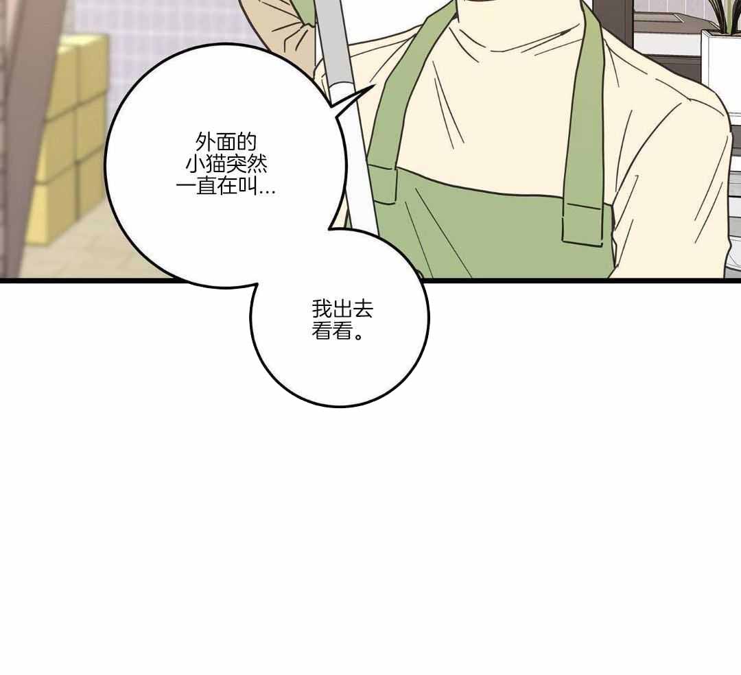 《我唯一的猫猫》漫画最新章节第34话免费下拉式在线观看章节第【7】张图片