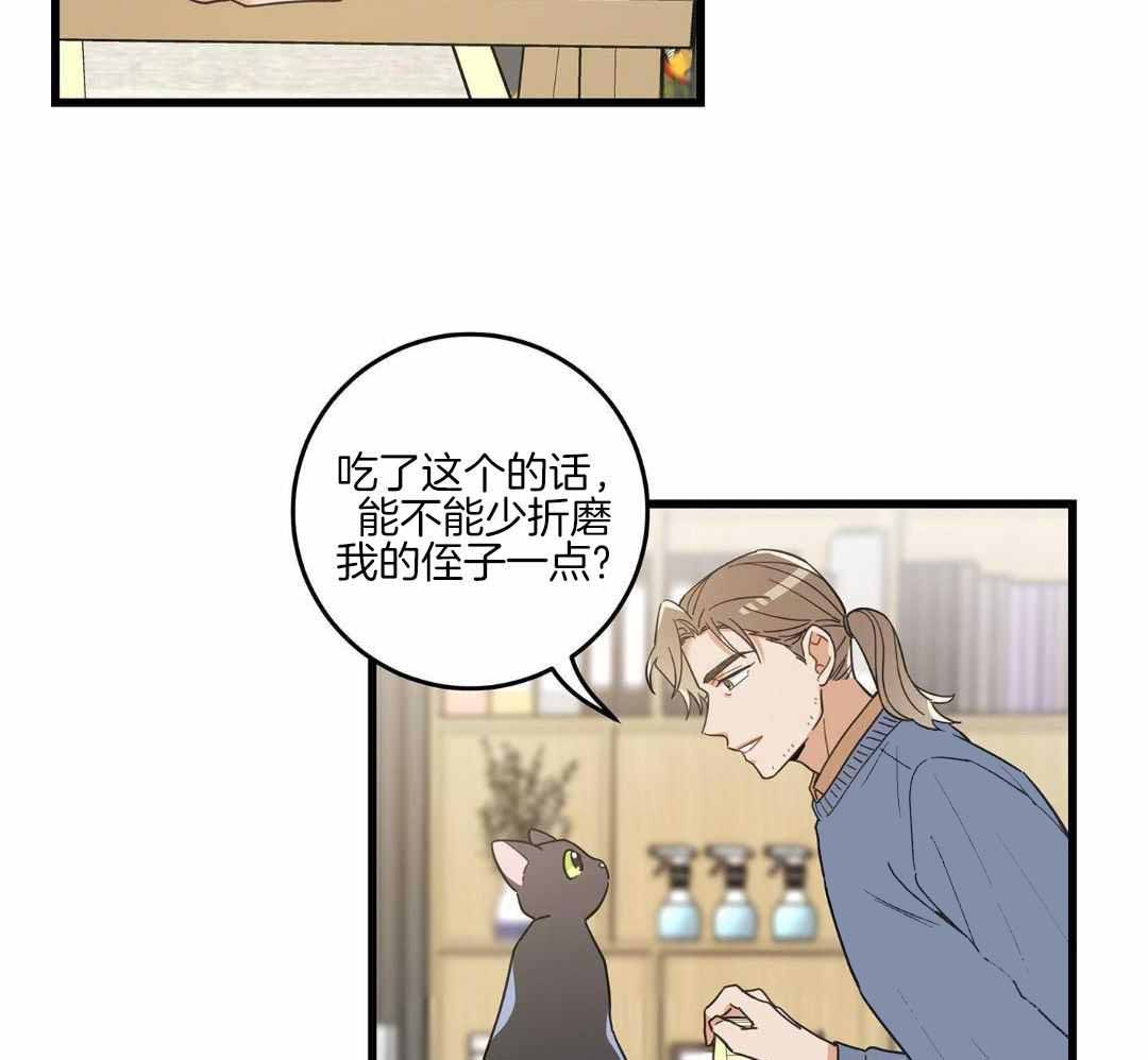 《我唯一的猫猫》漫画最新章节第47话免费下拉式在线观看章节第【16】张图片