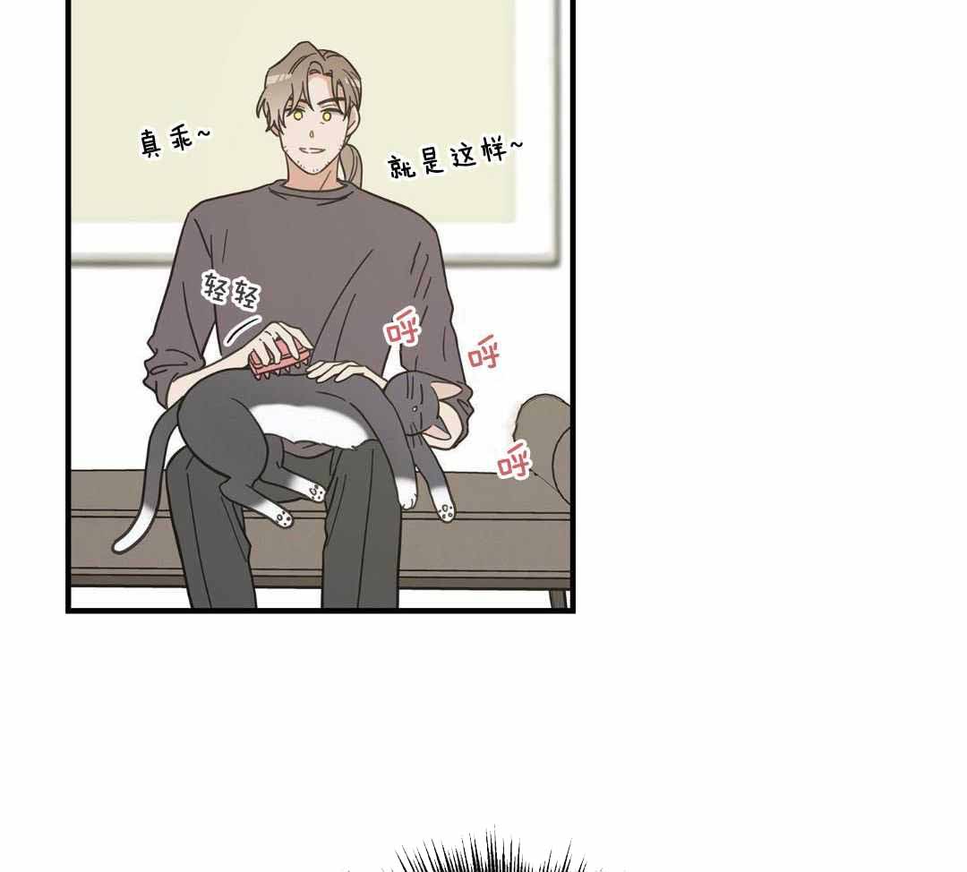 《我唯一的猫猫》漫画最新章节第53话免费下拉式在线观看章节第【33】张图片