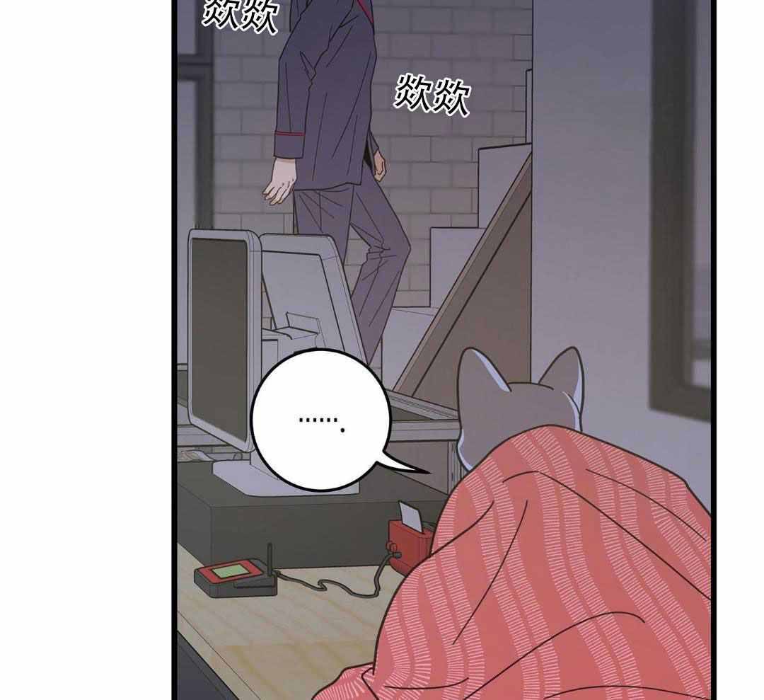 《我唯一的猫猫》漫画最新章节第37话免费下拉式在线观看章节第【17】张图片