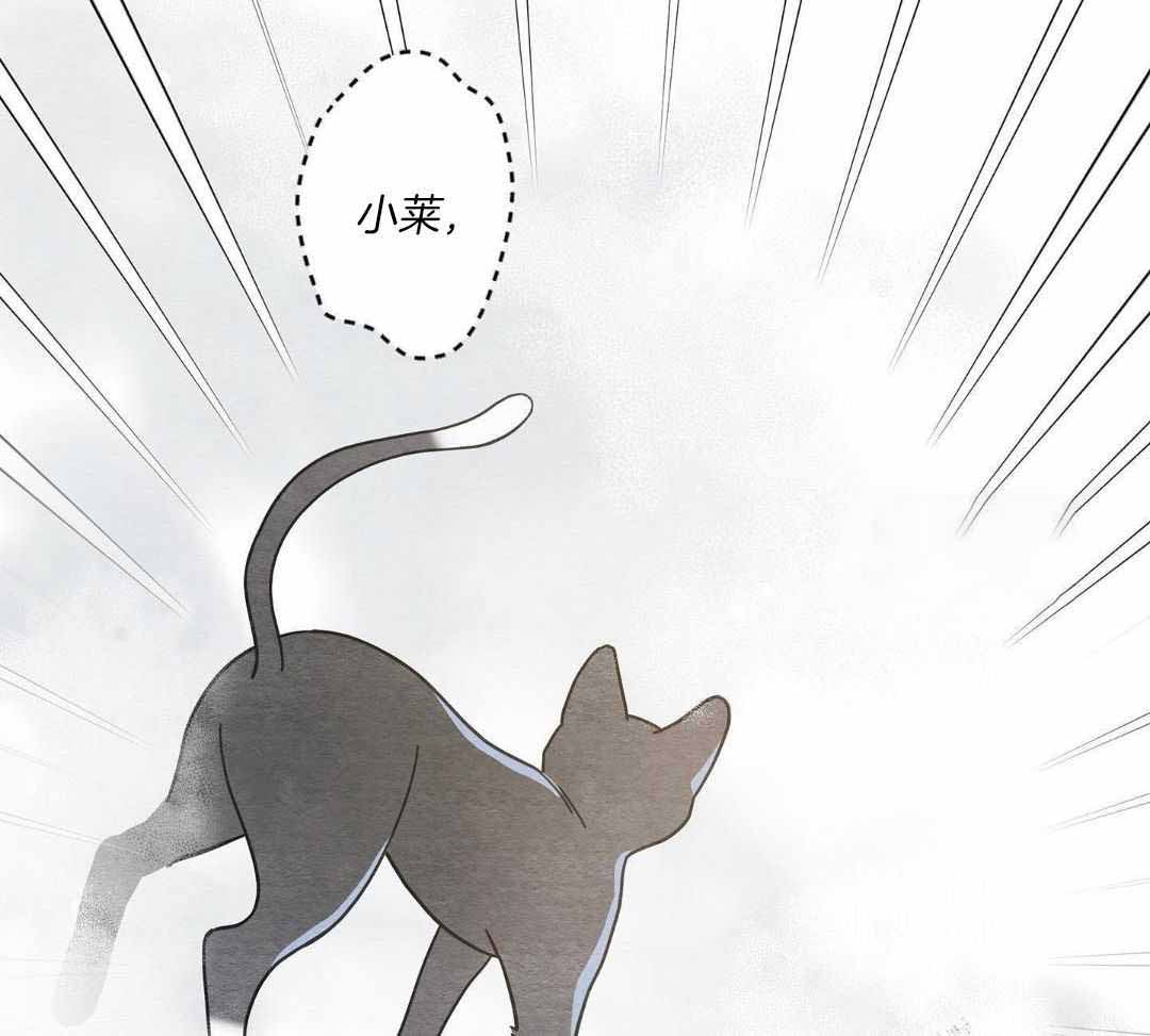 《我唯一的猫猫》漫画最新章节第42话免费下拉式在线观看章节第【36】张图片