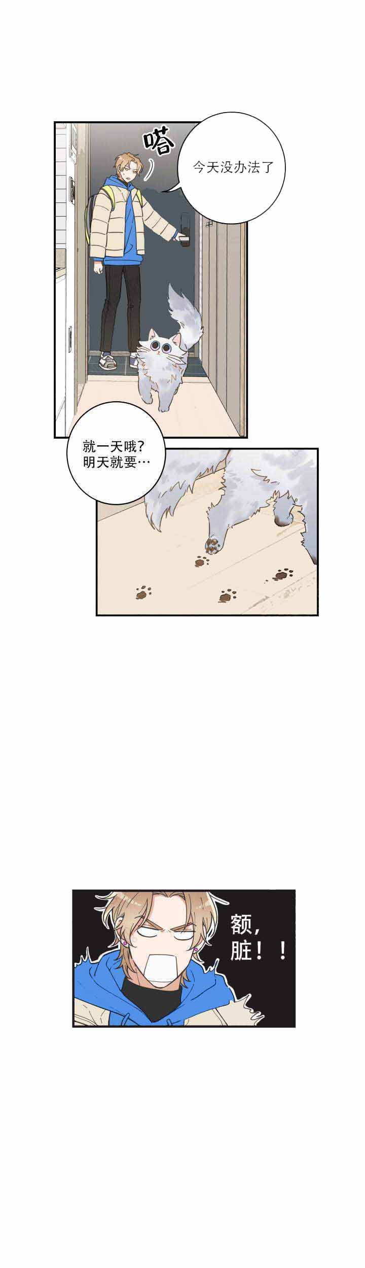 《我唯一的猫猫》漫画最新章节第3话免费下拉式在线观看章节第【12】张图片