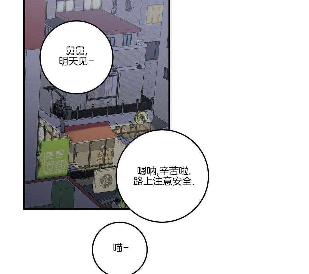 《我唯一的猫猫》漫画最新章节第55话免费下拉式在线观看章节第【3】张图片