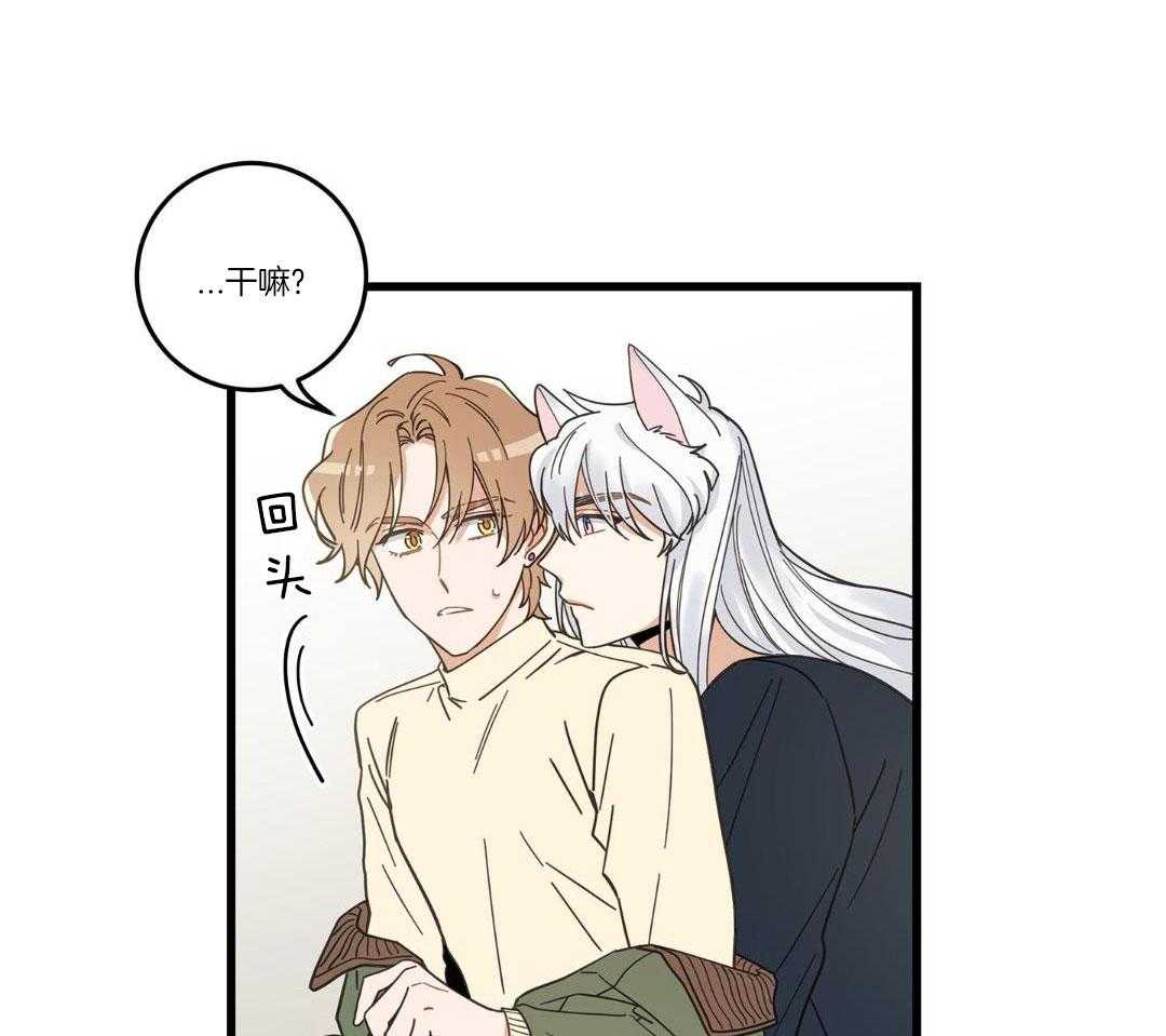 《我唯一的猫猫》漫画最新章节第36话免费下拉式在线观看章节第【17】张图片