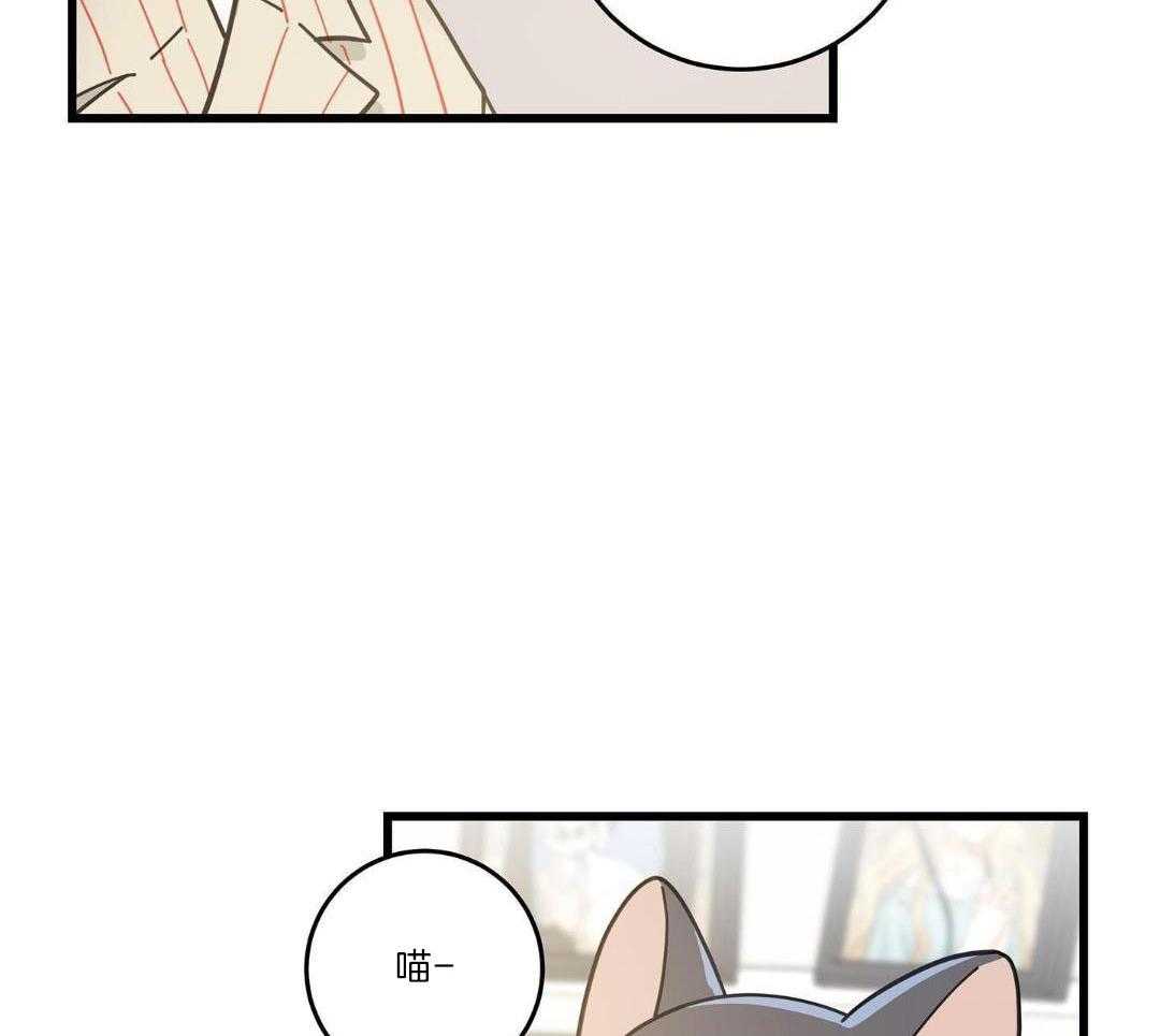 《我唯一的猫猫》漫画最新章节第58话免费下拉式在线观看章节第【32】张图片