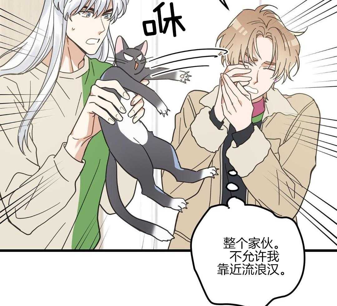 《我唯一的猫猫》漫画最新章节第43话免费下拉式在线观看章节第【31】张图片