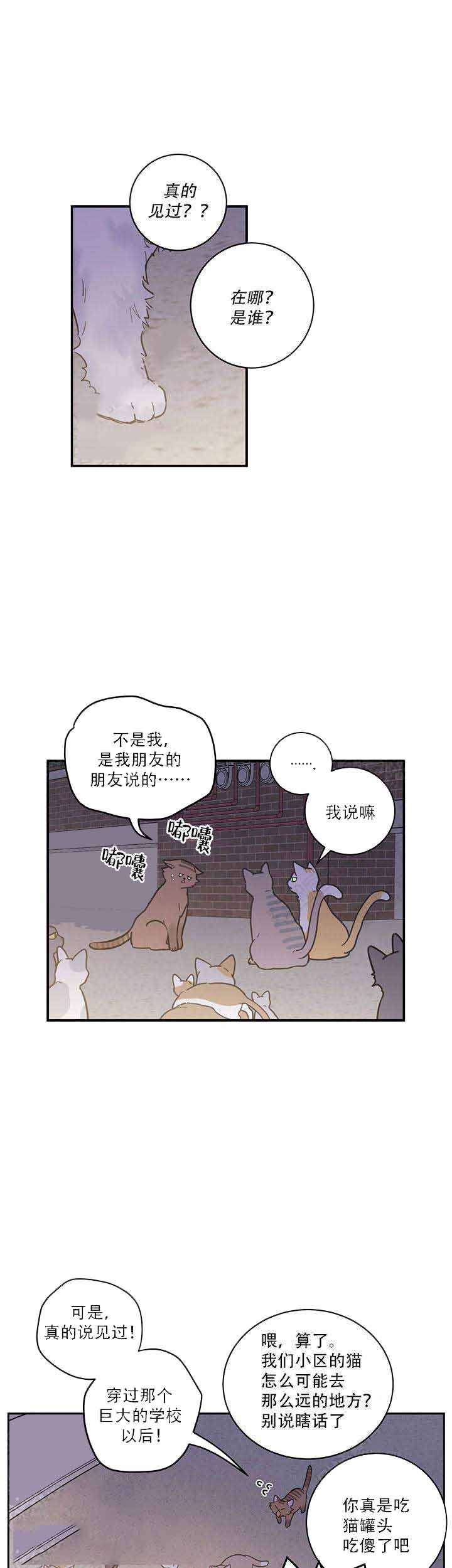 《我唯一的猫猫》漫画最新章节第1话免费下拉式在线观看章节第【4】张图片