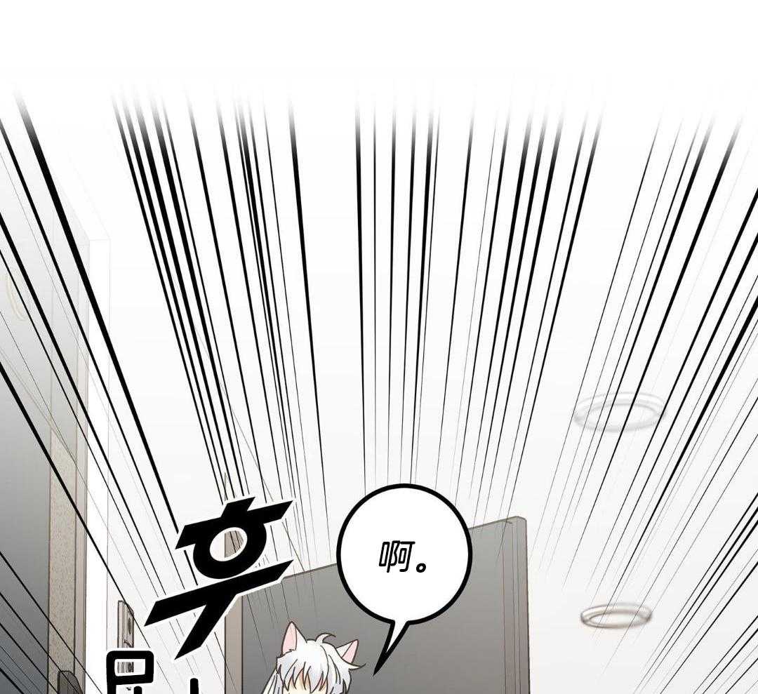 《我唯一的猫猫》漫画最新章节第46话免费下拉式在线观看章节第【16】张图片