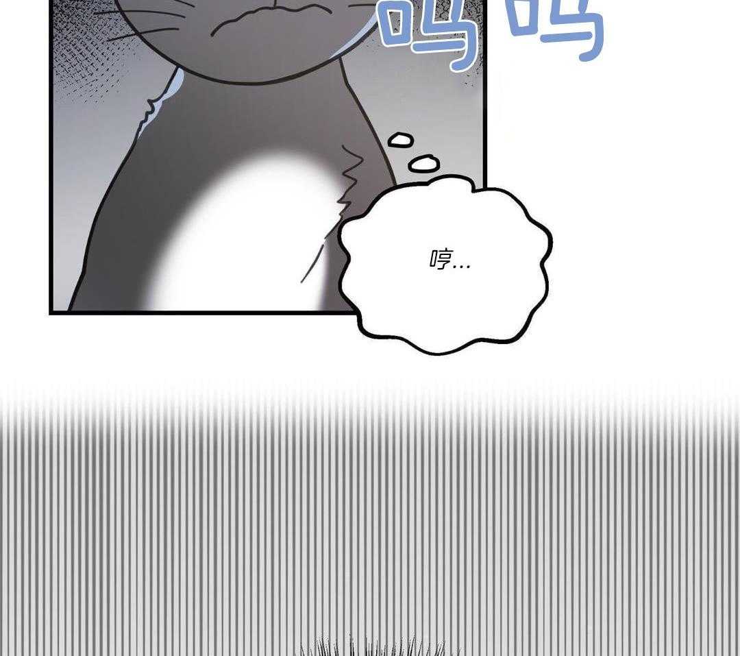 《我唯一的猫猫》漫画最新章节第55话免费下拉式在线观看章节第【41】张图片