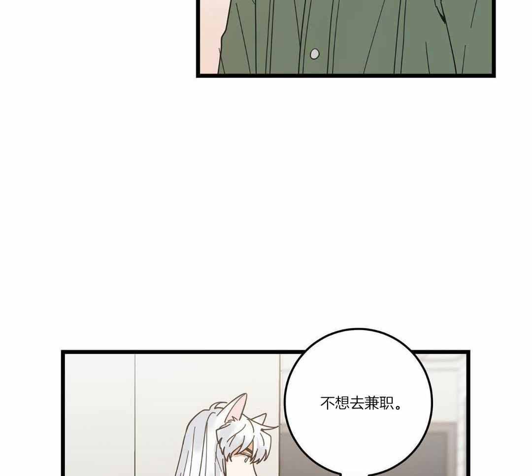 《我唯一的猫猫》漫画最新章节第32话免费下拉式在线观看章节第【3】张图片