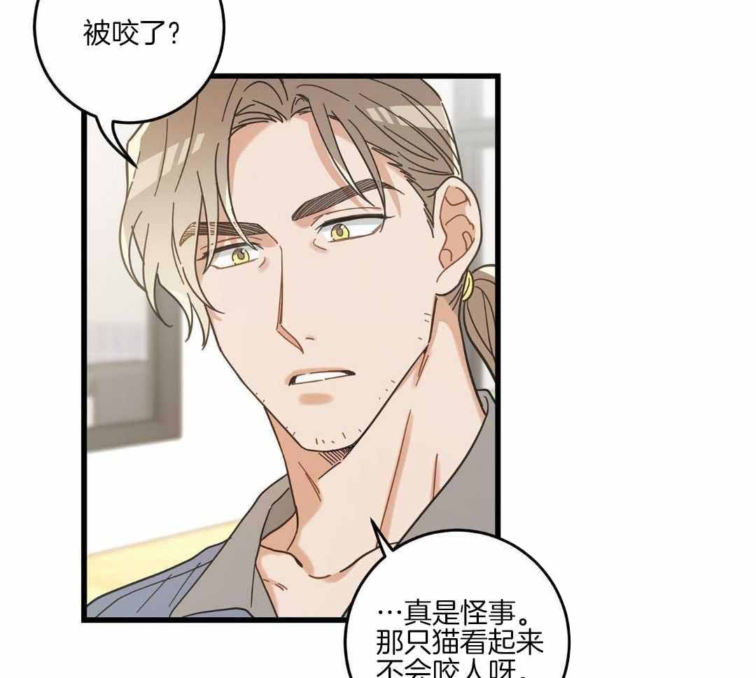 《我唯一的猫猫》漫画最新章节第44话免费下拉式在线观看章节第【13】张图片