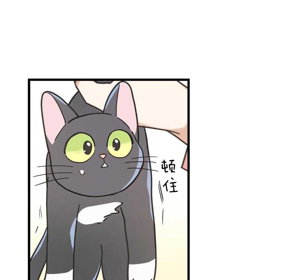 《我唯一的猫猫》漫画最新章节第39话免费下拉式在线观看章节第【24】张图片