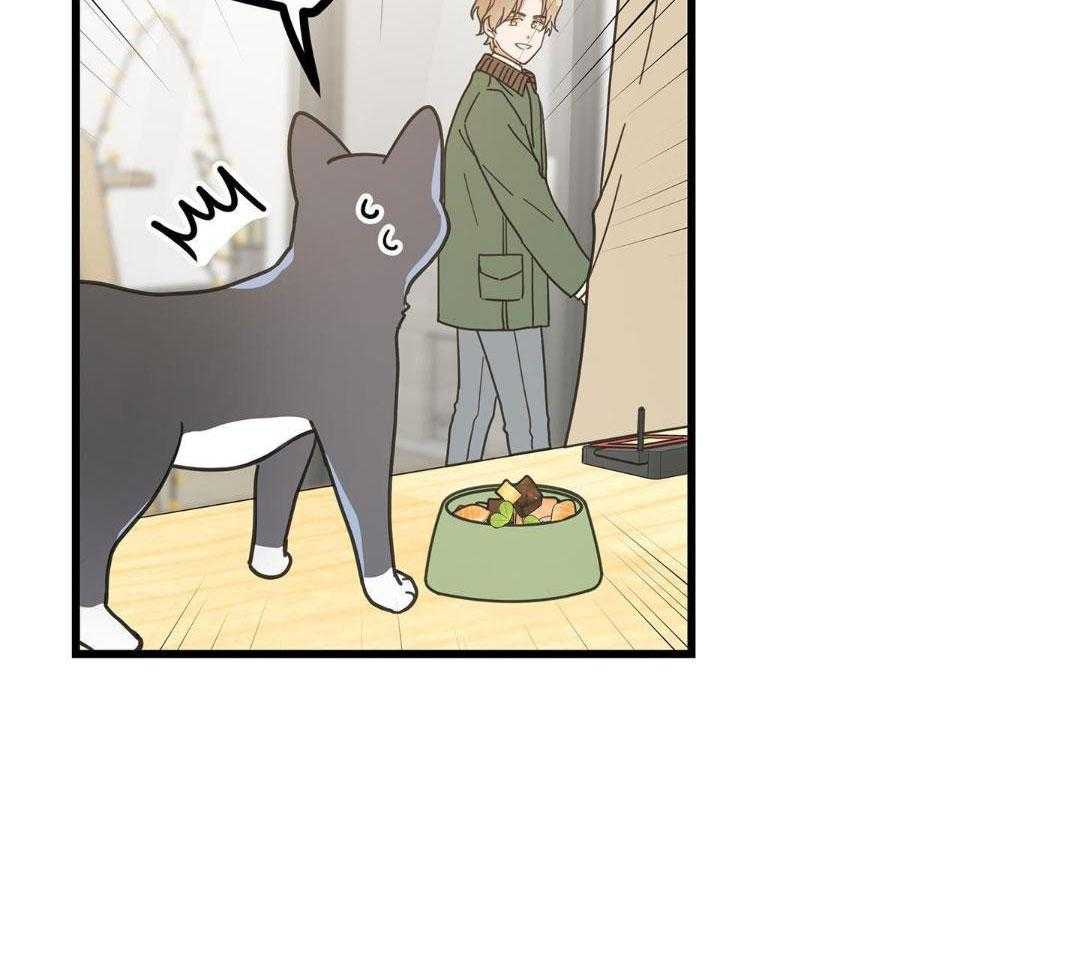 《我唯一的猫猫》漫画最新章节第35话免费下拉式在线观看章节第【27】张图片