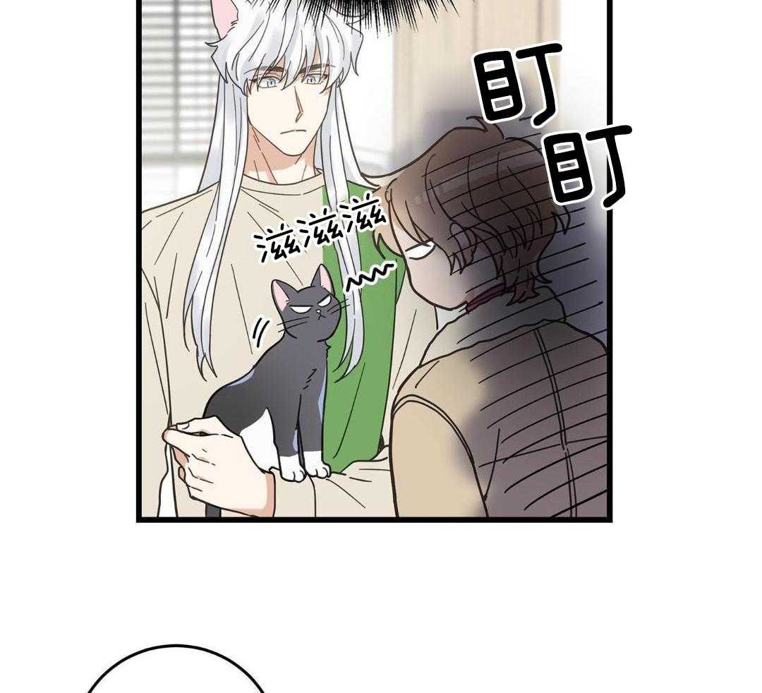 《我唯一的猫猫》漫画最新章节第43话免费下拉式在线观看章节第【22】张图片