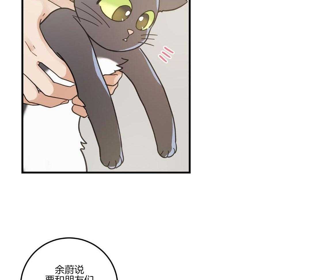 《我唯一的猫猫》漫画最新章节第53话免费下拉式在线观看章节第【46】张图片