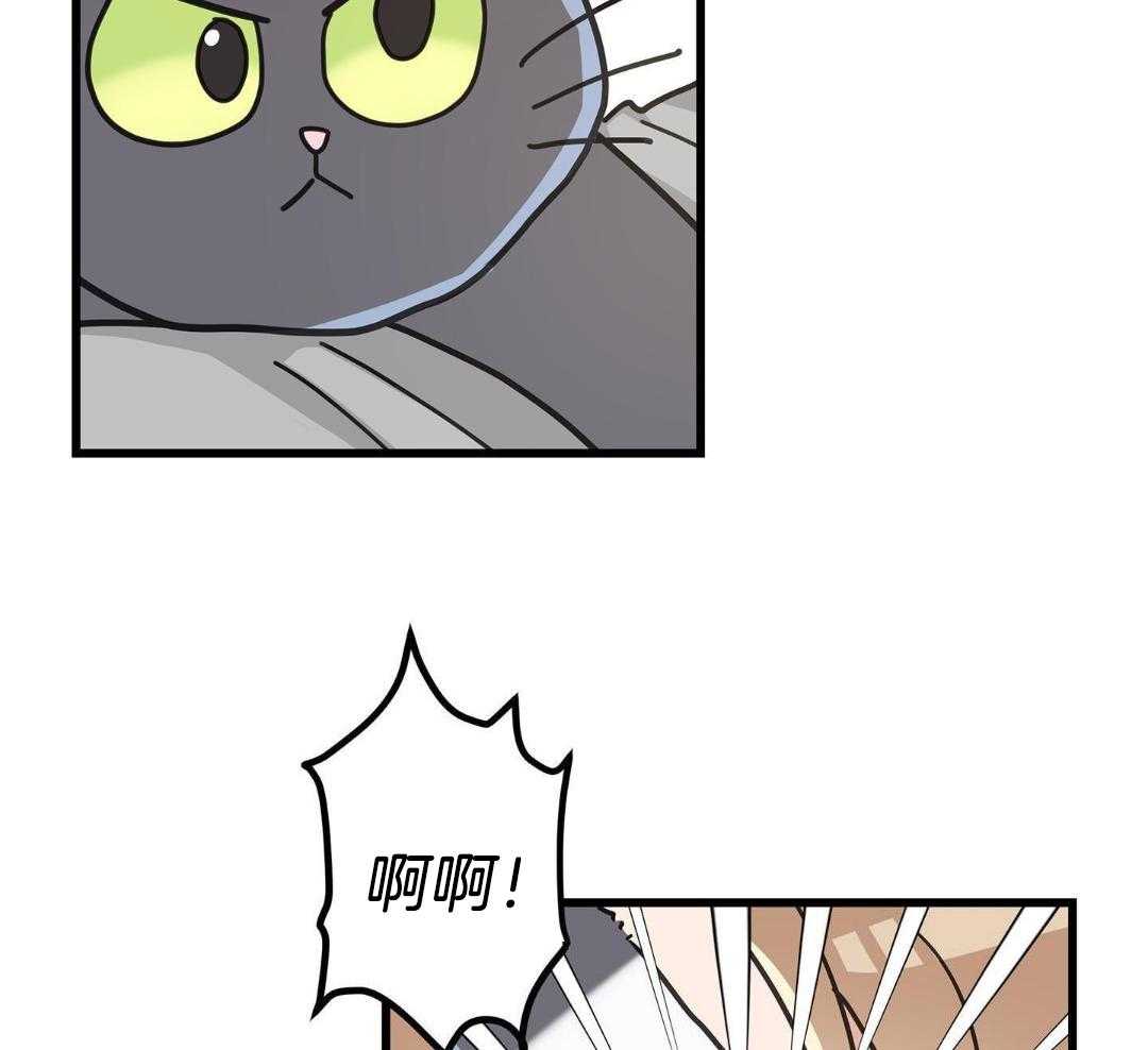 《我唯一的猫猫》漫画最新章节第45话免费下拉式在线观看章节第【33】张图片