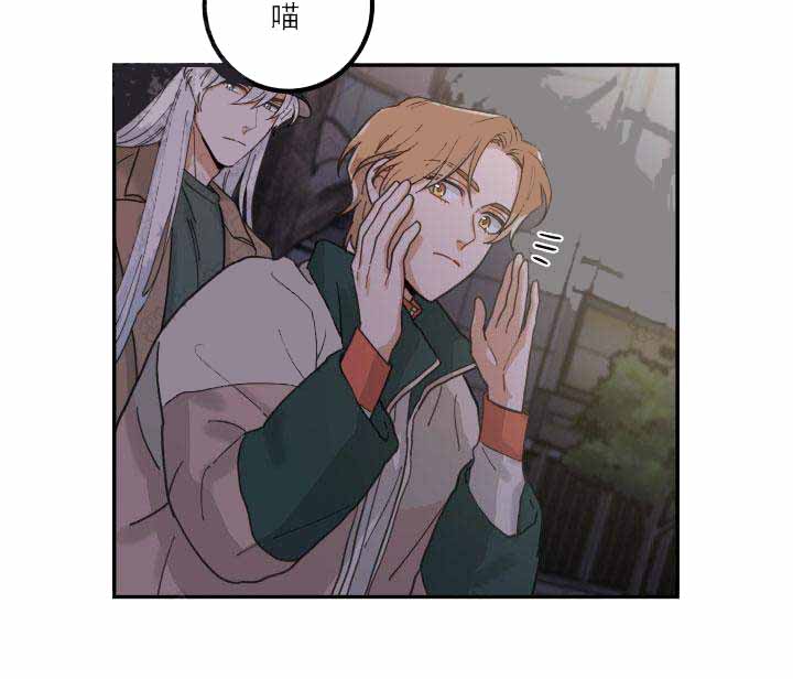 《我唯一的猫猫》漫画最新章节第17话免费下拉式在线观看章节第【8】张图片