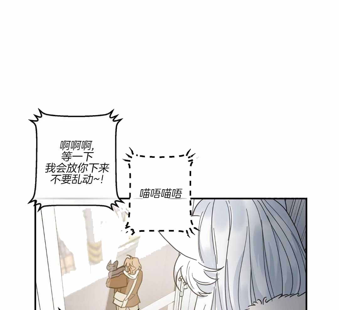 《我唯一的猫猫》漫画最新章节第49话免费下拉式在线观看章节第【33】张图片